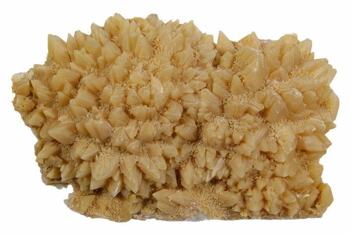 Sharp Dogtooth Calcite Crystal Cluster - Utah #360660
